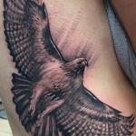 Tattoos - Red-winged Hawk - 111701