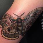 Tattoos - Vintage moth - 115419