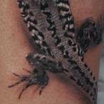 Tattoos - Lizard - 106417