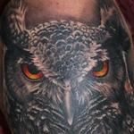 Tattoos - Owl - 101688