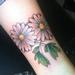 Tattoos - Daisy - 79069