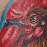 Tattoos - Rooster Tattoo - 117629