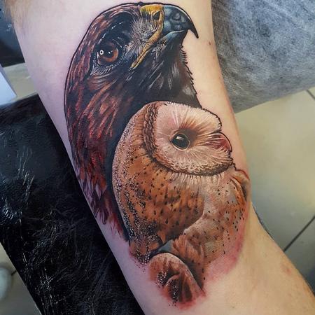 Tattoos - Owl & Eagle - 119240