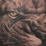 Tattoos - Lion Portrait - 119231