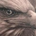 Tattoos - Black and Gray American Eagle - 119234