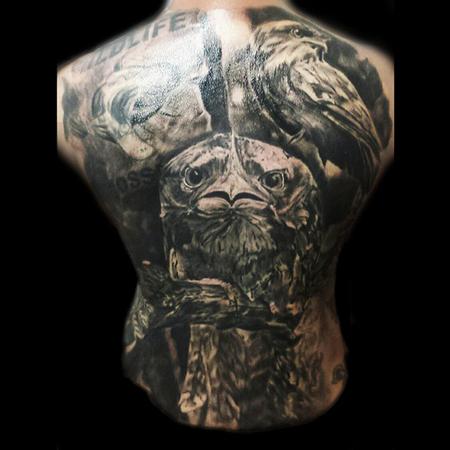 Tattoos - Tawny Frogmouth Back piece - 106640