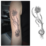 Tattoos - Garlic Plant- Instagram @michaelbalesart - 123106