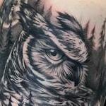 Tattoos - OWL AND FOREST ON ARM. INSTAGRAM @MICHAELBALESART - 134148