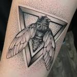 Tattoos - CICADA AND GEOMETRY ON FOREARM. INSTAGRAM @MICHAELBALESART - 134138