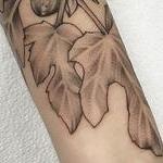 Tattoos - FIG BRANCHES AND FRUIT ON FOREARM. INSTAGRAM @MICHAELBALESART - 134135