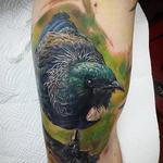 Tattoos - Tui bird - 121947