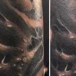 Tattoos - Lady organic - 127696