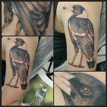 Tattoos - realistic magpie on arm - 113753