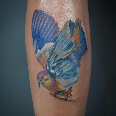 Tattoos - Colourful Bird - 116385