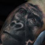 Tattoos - Gorilla - 101782