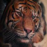 Tattoos - Realistic Tiger - 101783