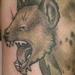 Tattoos - Laughing Hyena Tattoo - 66310