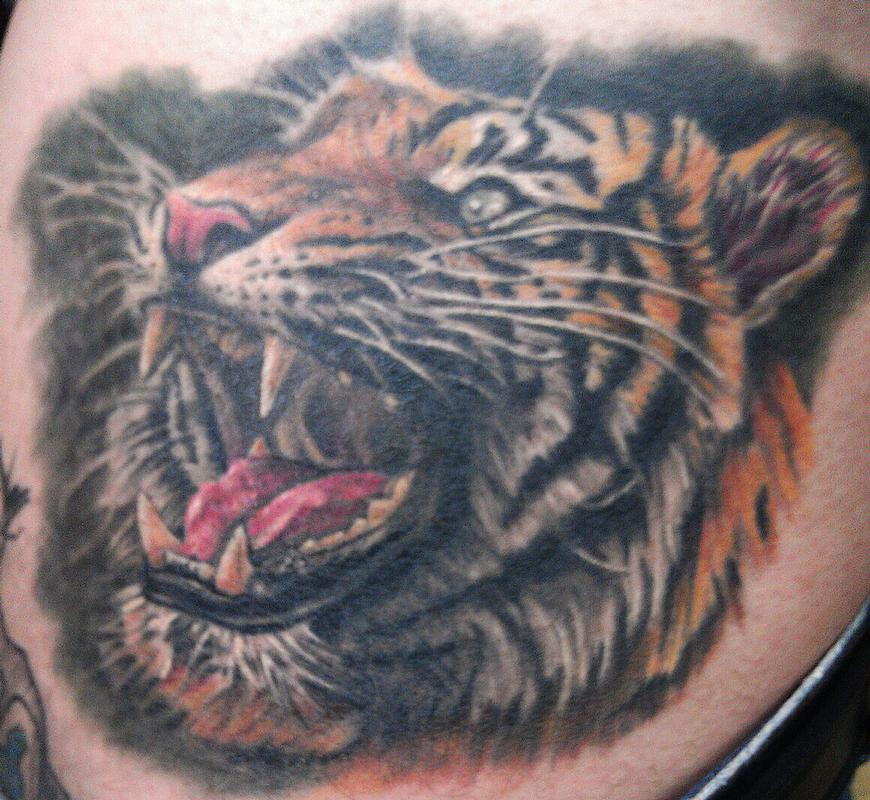 tiger head by David Dettloff: TattooNOW