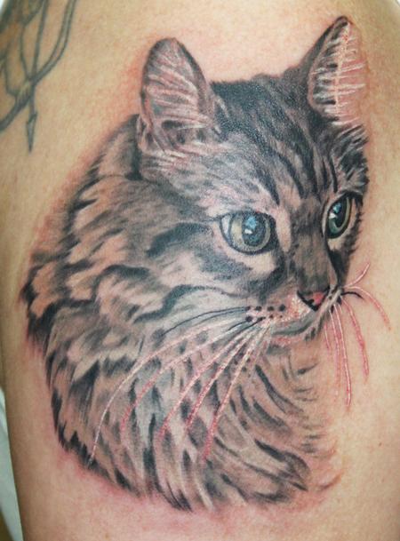 Tattoos - Portrait of a cat - 62823
