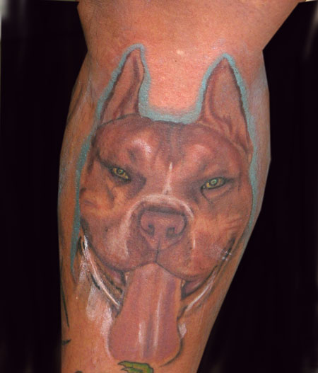 Tattoos - pitbull - 16117