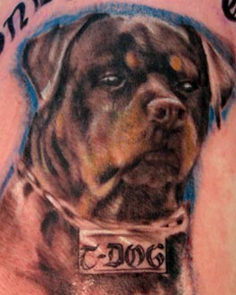 Rottweiler Tattoo Ideas
