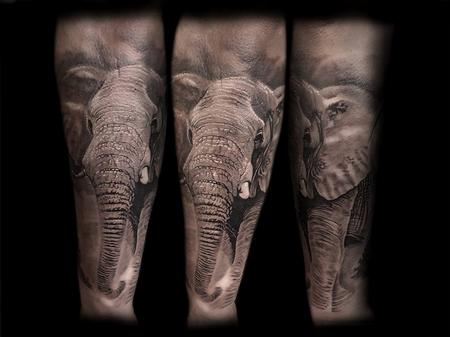 Tattoos - BNG Elephant  - 127257