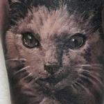 Tattoos - Cat Portrait Tattoo - 140411