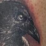 Tattoos - Raven Tattoo - 140409