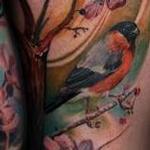 Tattoos - deer skull - 125305