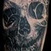 Tattoos - Nautilus Skull - 97970