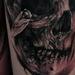 Tattoos - Cicada Skull - 97715