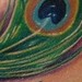 Tattoos - peacock feather - 40152