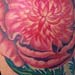 Tattoos - Peony - 14459