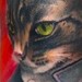 Tattoos - Cat the rippley - 36528