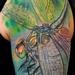 Tattoos - Dragonfly half sleeve tattoo - 58653
