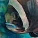 Tattoos - fish tattoo - 51383