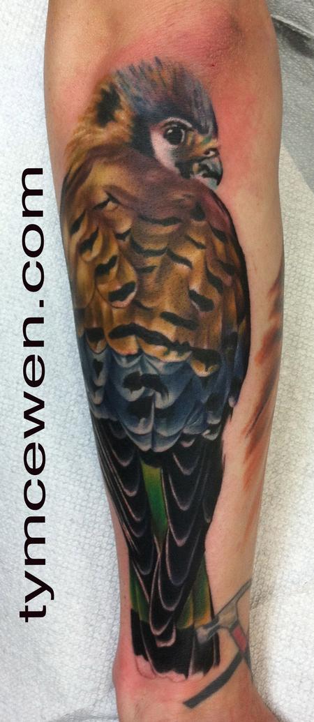 Red Tailed Hawk Feathers  Red tail hawk feathers Tattoos Hawk feathers