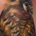Tattoos - realistic bird tattoo  - 77288