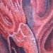 Tattoos - untitled - 45230