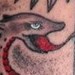 Tattoos - Custom color serpent tattoo - 51713