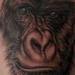Tattoos - Realistic Gorilla Tattoo - 60826