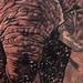 Tattoos - Memorial Elephant - 94769