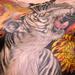 Tattoos - tiger tattoo - 92227