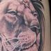Tattoos - Black and Grey Lion - 79398
