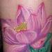 Tattoos - Lotus and water - 79352