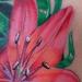 Tattoos - Royal Sunset Lily - 79397
