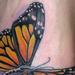 Tattoos - Monarch Butterfly - 79445