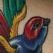 Tattoos - Sparow, Banner and Stars - 79351