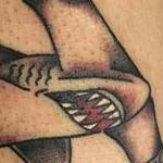 Tattoos - Hammer HEad Shark Tattoo - 129038