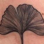 Tattoos - Ginko Leaf - 129053